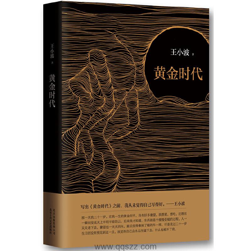 王小波全集第6卷：黄金时代 azw3,epub Kindle电子书下载