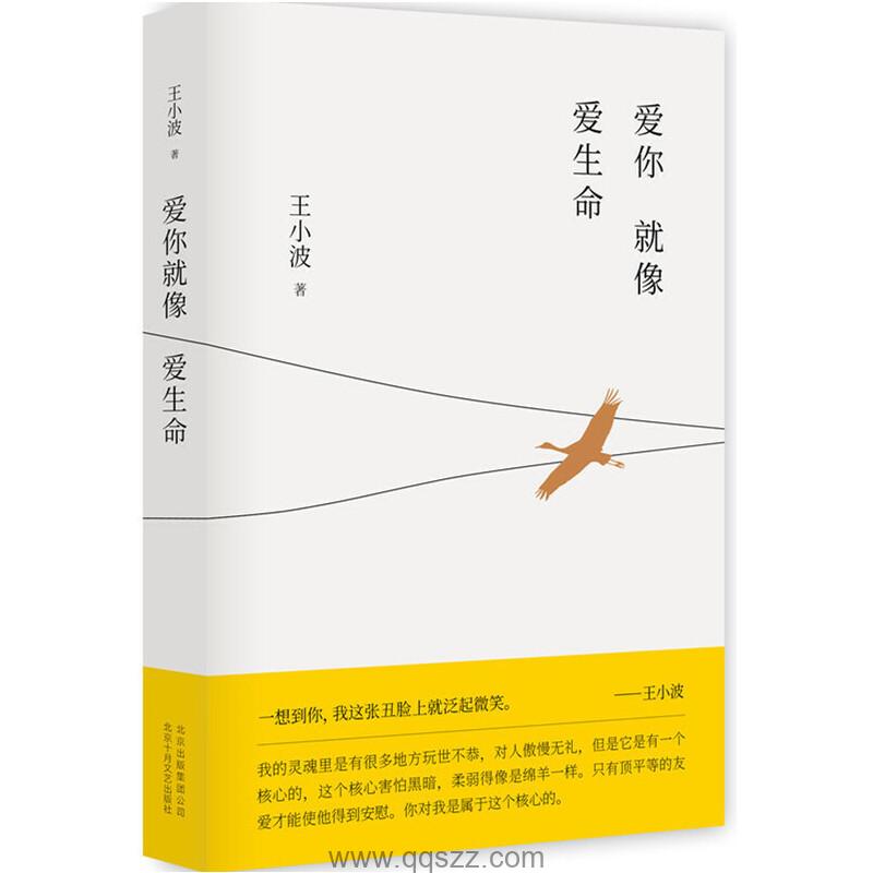 王小波全集第9卷：爱你就像爱生命 azw3,epub Kindle电子书下载