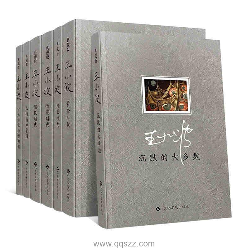 王小波全集,终结版全10册 azw3,epub Kindle电子书下载