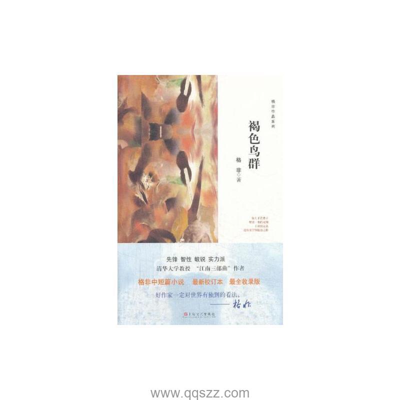 褐色鸟群-格非 epub,mobi Kindle电子书下载