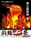 闪烁拳芒（校对版全本）作者：黑土冒青烟