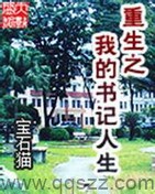 重生之我的书记人生 epub,mobi,txt 精校版全本下载,Kindle