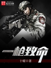 一枪致命（校对版全本）作者：十曜