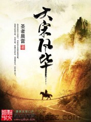 大宋风华（校对版全本）作者：圣者晨雷