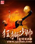 狂狮少帅 epub,mobi,txt,精校版电子书下载,Kindle