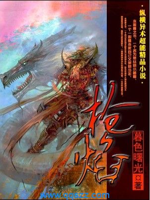 枪焰 epub,mobi,txt,精校版电子书下载,Kindle
