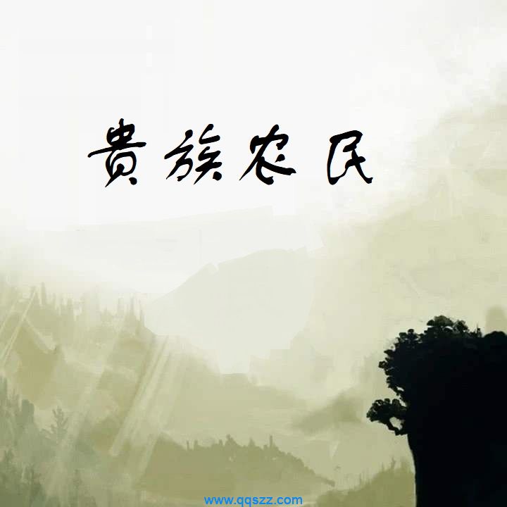 贵族农民 epub,mobi,txt,精校版电子书下载,Kindle
